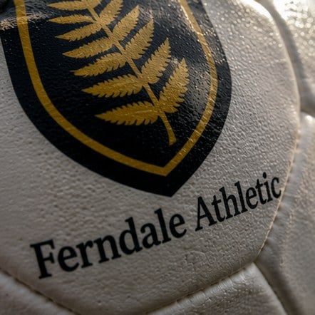 Custom printed soccer balls in bulk