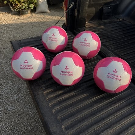 Wholesale training soccer balls